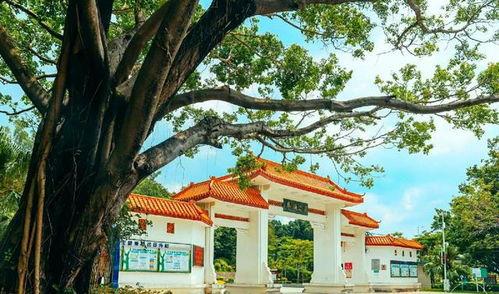 金乡明星网红公园地址,探寻网红打卡新地标，感受城市绿意盎然