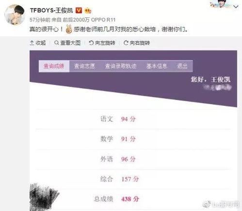 明星网红收入多少算正常,揭秘他们的财富密码