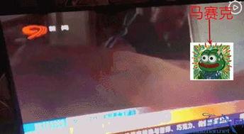四川今日吃瓜新闻直播在哪看,锁定这些平台，不错过精彩瞬间