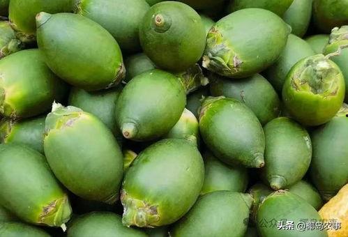 海南今日价格行情最新白瓜,新鲜上市，实惠之选