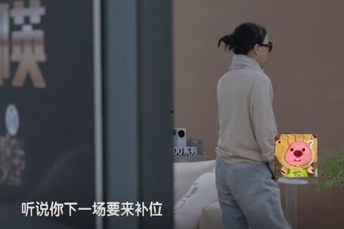 明星网红翻车照片高清,高清照片揭示网络舆论的残酷真相