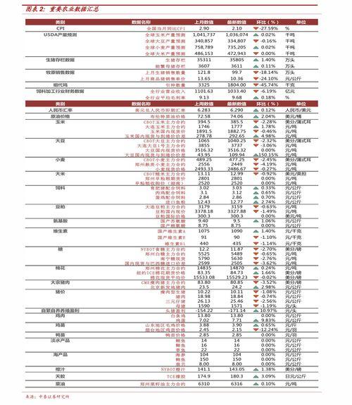 二瓜2025年今日价格行情海南,价格波动与供需分析