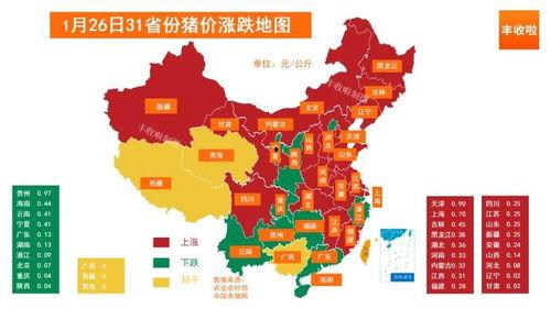 二瓜2025年今日价格行情海南,价格波动与供需分析