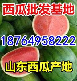 聊城茄瓜今日价格表,市场行情一览