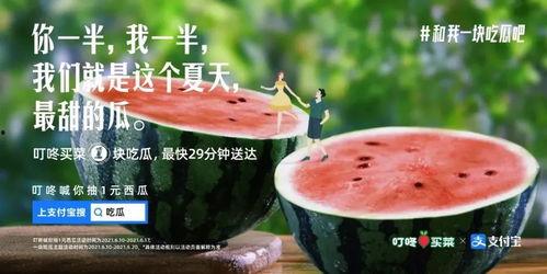朋友圈今日吃瓜一篇文案,揭秘娱乐圈最新热点事件