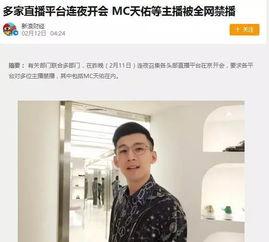 挪用公款歌手明星网红,歌手、明星、网红的道德拷问