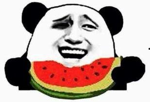 朝阳吃瓜群众今日吃瓜视频