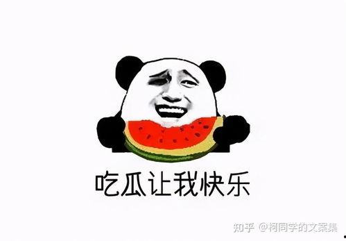 朝阳吃瓜群众今日吃瓜视频