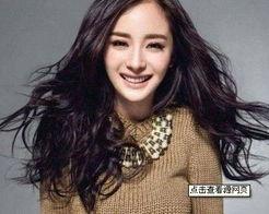 明星网红的议论文,社会影响与价值观探讨