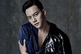 仿真男明星网红是谁,网络红人的魅力与影响力