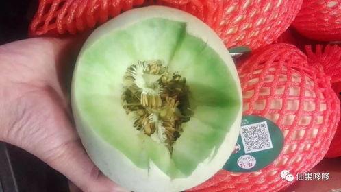 今日海南小蜜瓜,甜蜜滋味，夏日清凉佳选