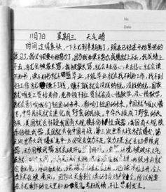 科学与明星网红的作文,探索新时代的传播力量