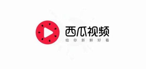 长春今日头条卖瓜,街头卖瓜，夏日炎炎里的清凉小确幸