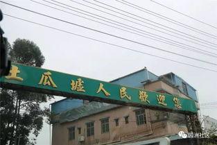 今日关注园洲土瓜圩新闻,探寻传统圩市新风采