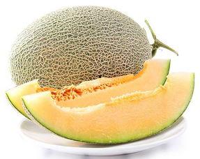 今日水果推荐蜜瓜,今日水果推荐——蜜瓜盛宴