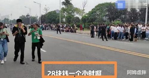 今日瓜沥临港招临时工,临时工岗位抢眼，就业新机遇来袭”