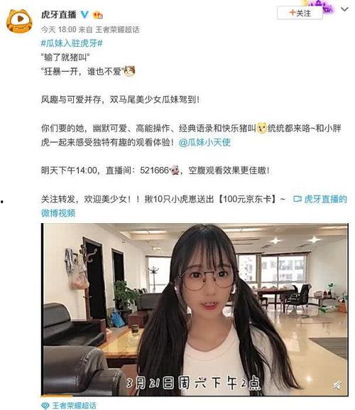 今日瓜姐最新视频回放下载,今日热点事件深度剖析