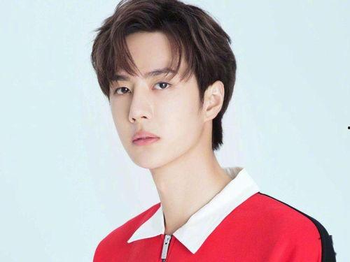 文山明星网红十大网红,揭秘十大明星网红背后的故事