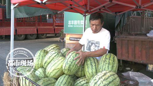 元谋三月瓜今日价格,今日行情一览