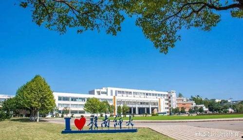 江西科技学院今日有瓜吗,揭秘校园新鲜事