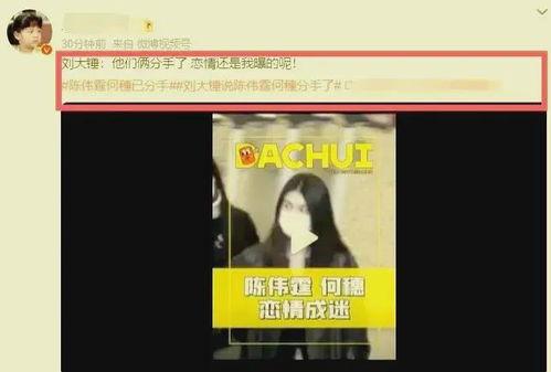 狗仔今日爆瓜视频在线观看,今日爆瓜视频在线观看，精彩内容抢先看！