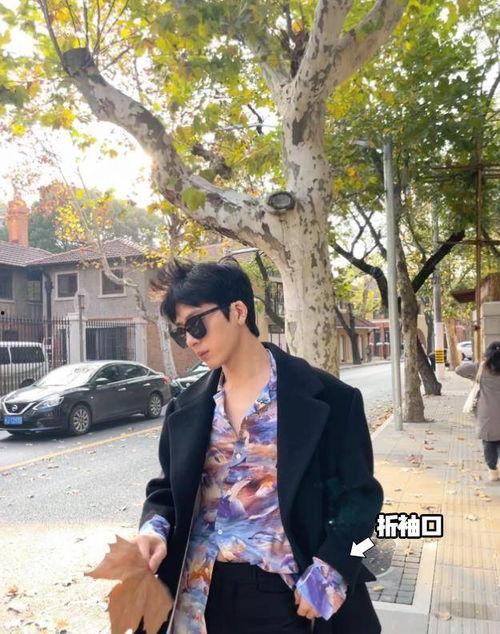 男明星网红谈恋爱视频,甜蜜互动引网友热议