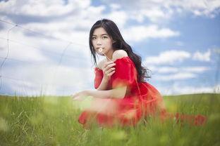 呼伦贝尔来的明星网红,草原上的璀璨星光”