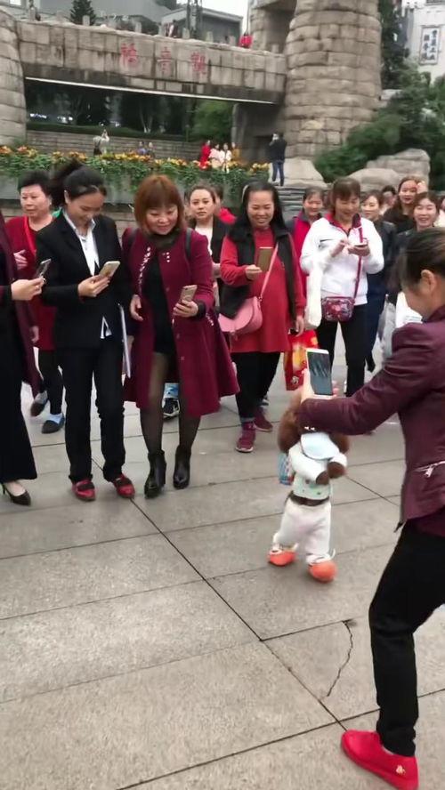 小明星网红幼儿园,萌娃们的快乐成长乐园