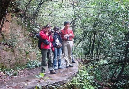 恩施今日什么瓜,神秘事件引发全民猜测，真相即将揭晓！