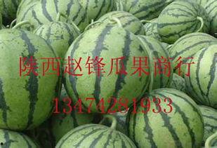 哈密瓜行情实时报价今日,实时报价揭示市场动态