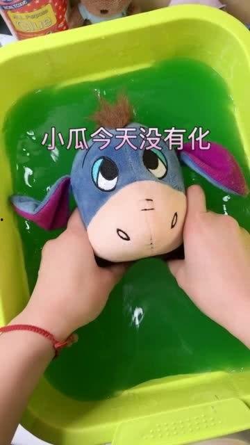 小瓜今日主题,探索未知，开启智慧之旅