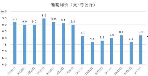 上海哈密瓜今日价格走势,今日行情解析