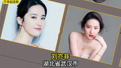 假装明星网红国外叫什么,揭秘“假装明星”的全球热潮