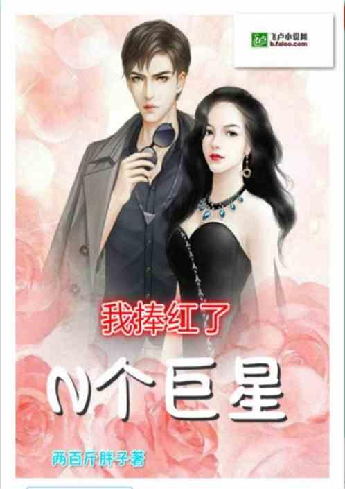 摒弃明星网红小说在线阅读,探寻真实人生故事