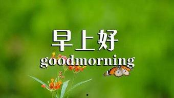 今日摘瓜文案句子图片唯美,唯美摘瓜瞬间