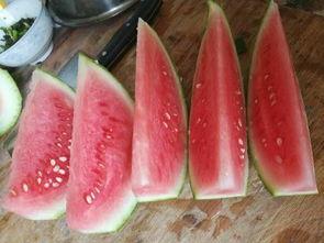 夏邑今日瓜价行情,今日瓜价走势一览