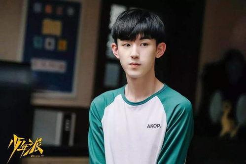 95后男明星网红出身,95后男明星的崛起之路