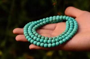 松瓜今日价格行情,今日行情一览