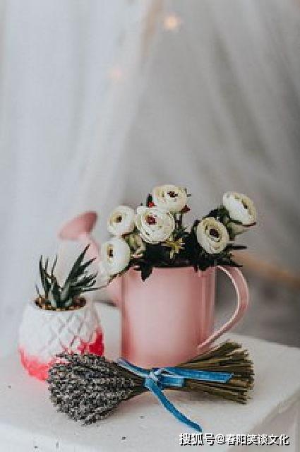 明星网红墙文案搞笑句子,明星搞笑文案大盘点