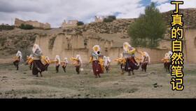 全明星网红抖音帅哥