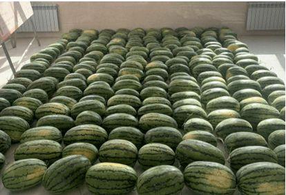 西安今日吃瓜新闻,揭秘今日吃瓜新闻背后的故事