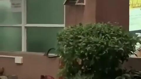 西安今日吃瓜新闻,揭秘今日吃瓜新闻背后的故事