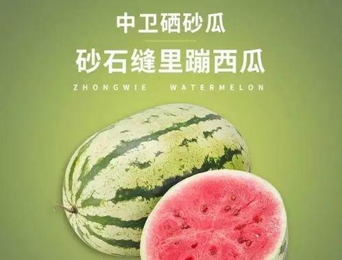 宁夏硒砂瓜8月12号今日行情,行情稳健，品质卓越，瓜香四溢！”