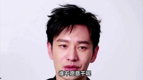 明星网红逃税名单全部,明星网红逃税名单曝光，税务问题引发行业地震