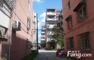 上海明星网红扎堆的小区,上海网红聚集地的时尚生活圈揭秘