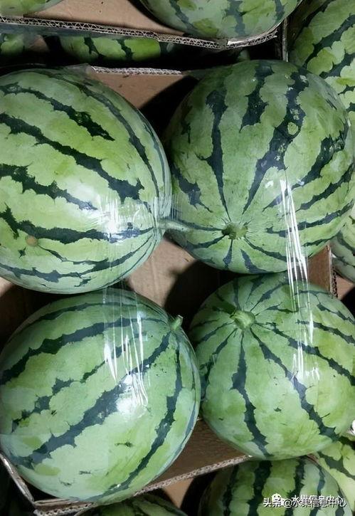 今日份吃到最大的瓜,揭秘娱乐圈最大重磅炸弹