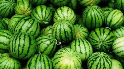 今日大瓜,揭秘娱乐圈最新热点事件