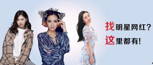这就是明星网红视频大全,全网热门明星网红视频大盘点