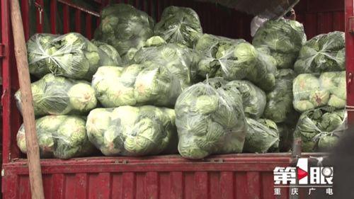 今日双福哈密瓜最新价格,价格行情一览”