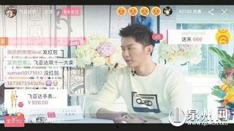 网络新热点明星网红,明星网红如何引领网络新热点